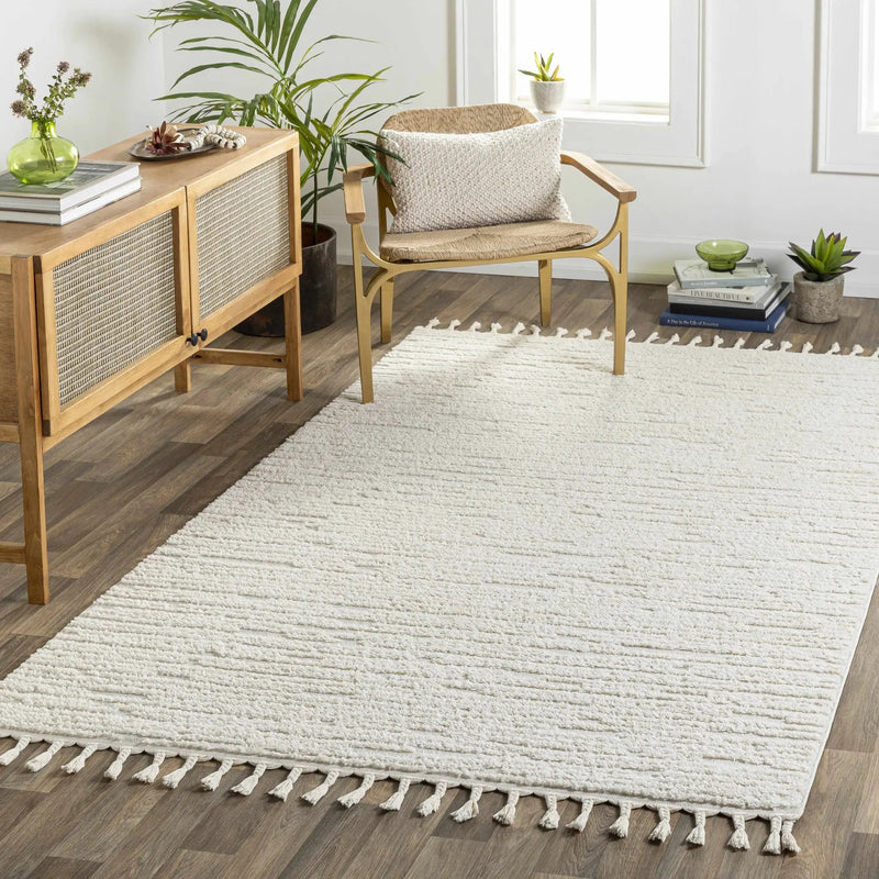Kulu Textured Area Rug with Tassels by Boutique Rugs