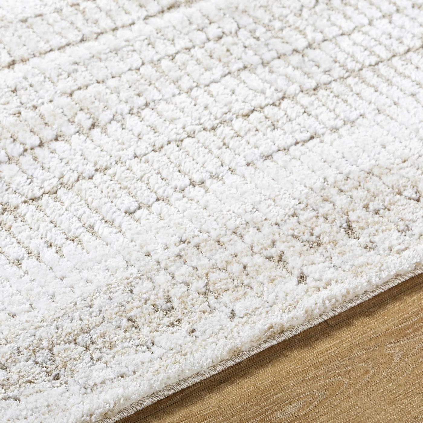 Akande Shag Area Rug - Clearance by Boutique Rugs