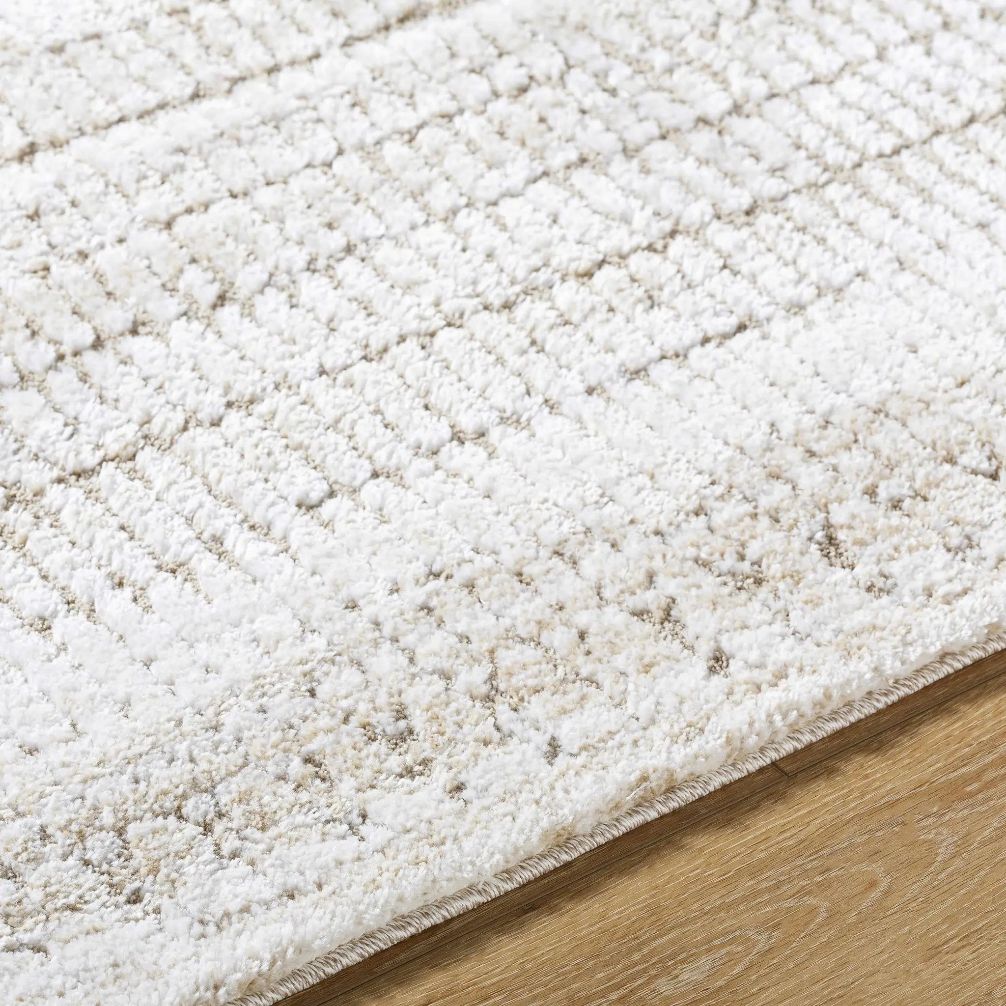 Akande Shag Area Rug - Clearance by Boutique Rugs