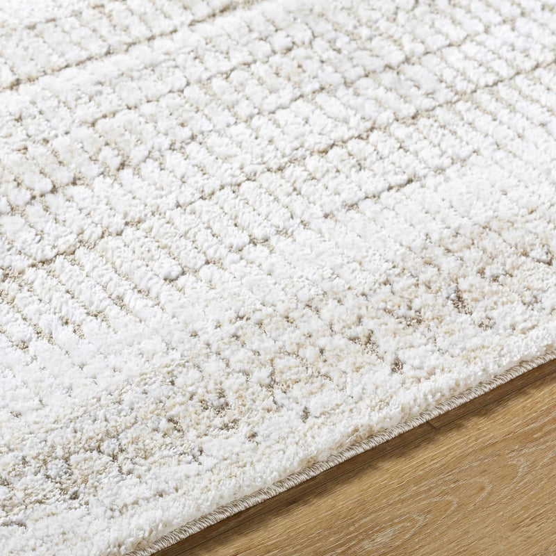 Akande Shag Area Rug - Clearance by Boutique Rugs