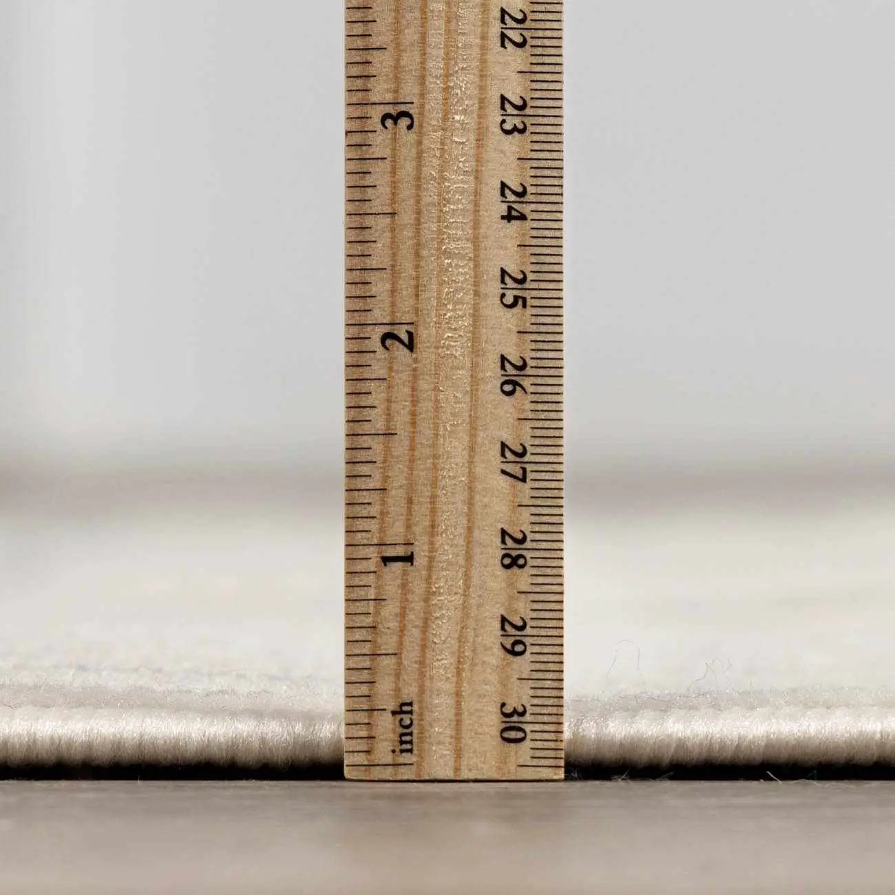 Lascassas Neutral Area Rug - Clearance by Boutique Rugs