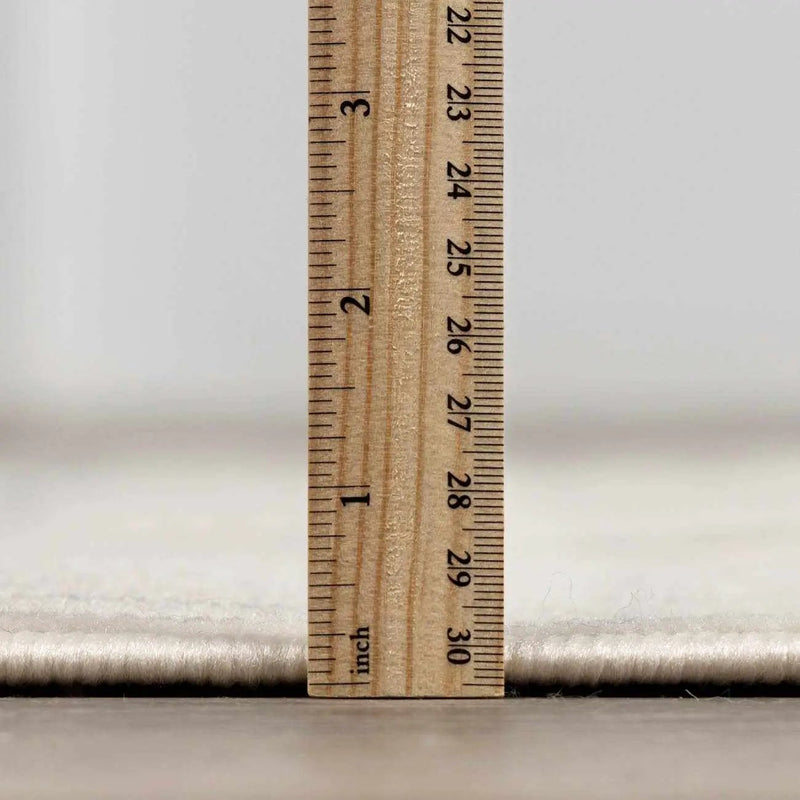 Lascassas Neutral Area Rug - Clearance by Boutique Rugs