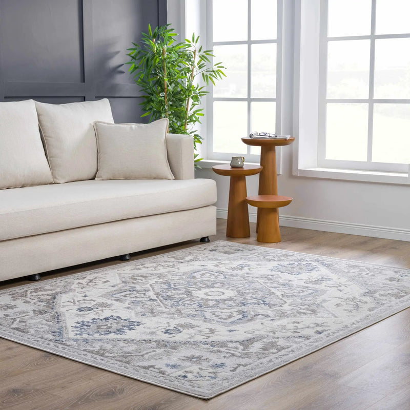 Bakir Area Rug - Clearance by Boutique Rugs