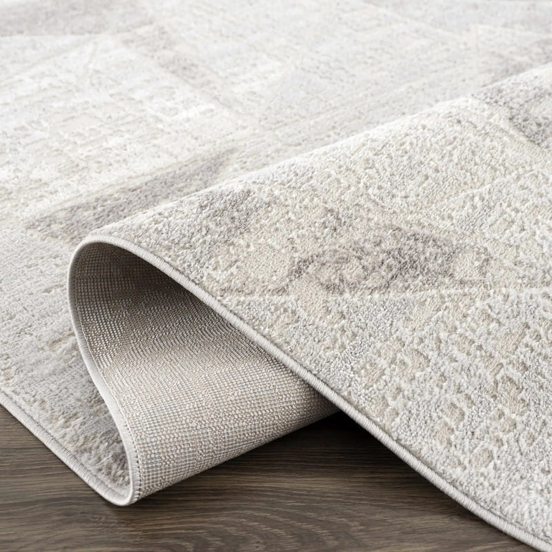 Basia Area Rug by Hauteloom
