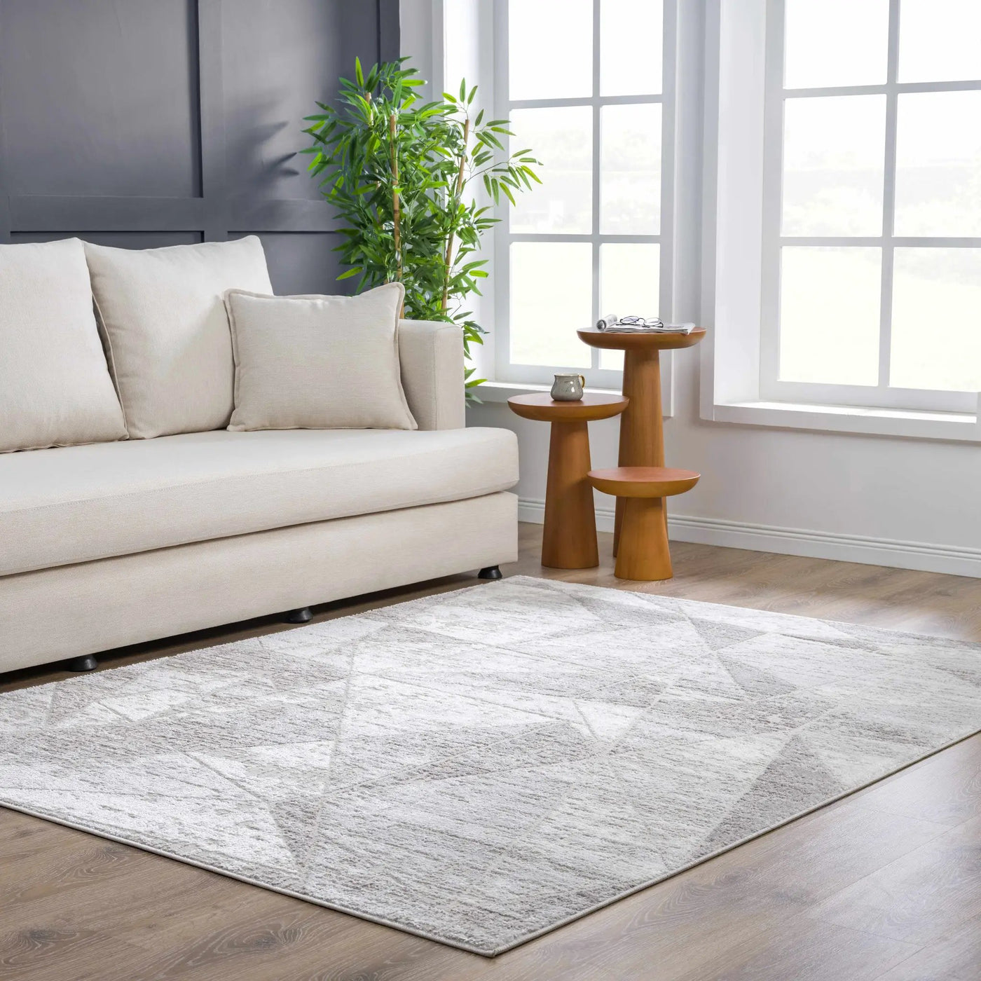Basia Area Rug by Hauteloom