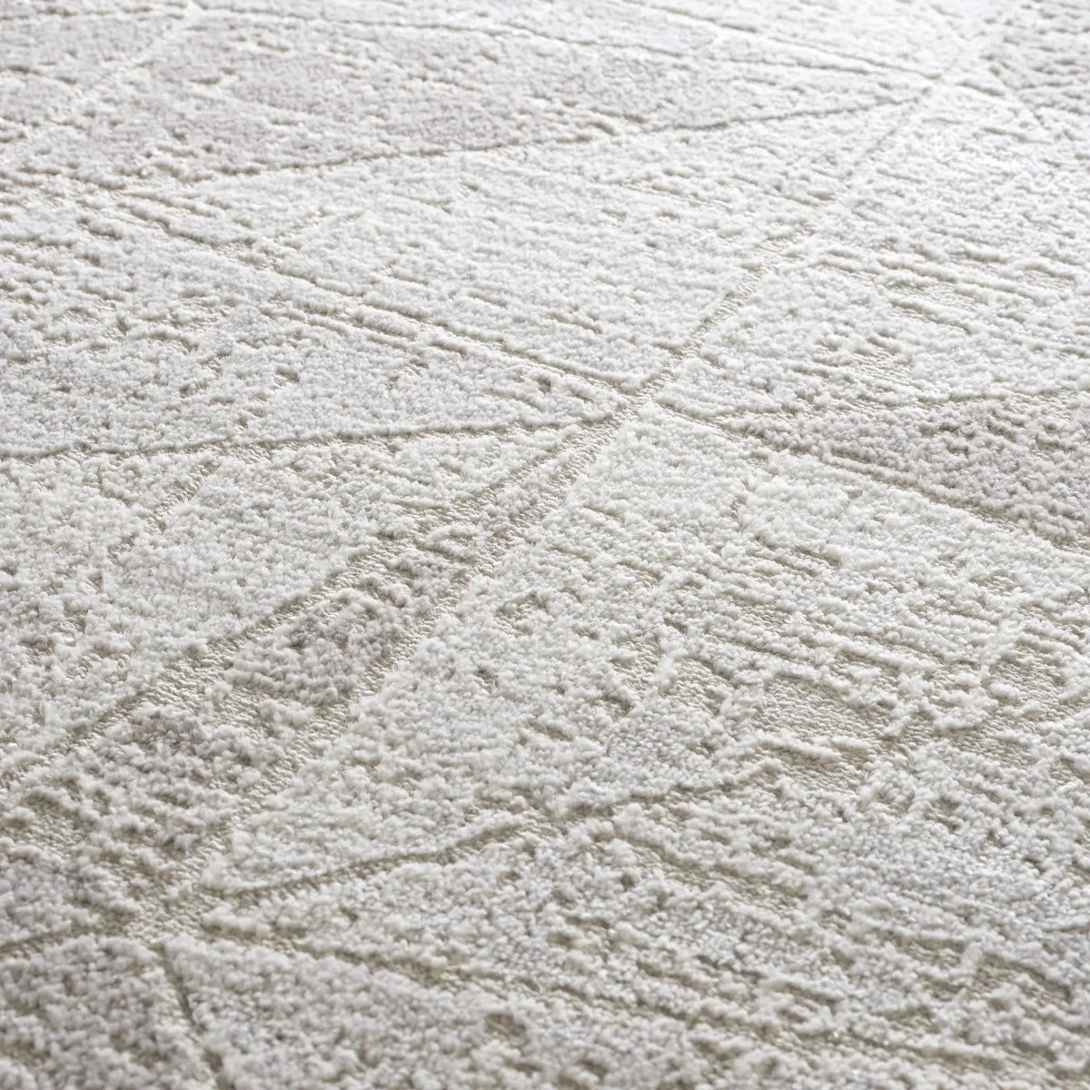 Basia Area Rug by Hauteloom