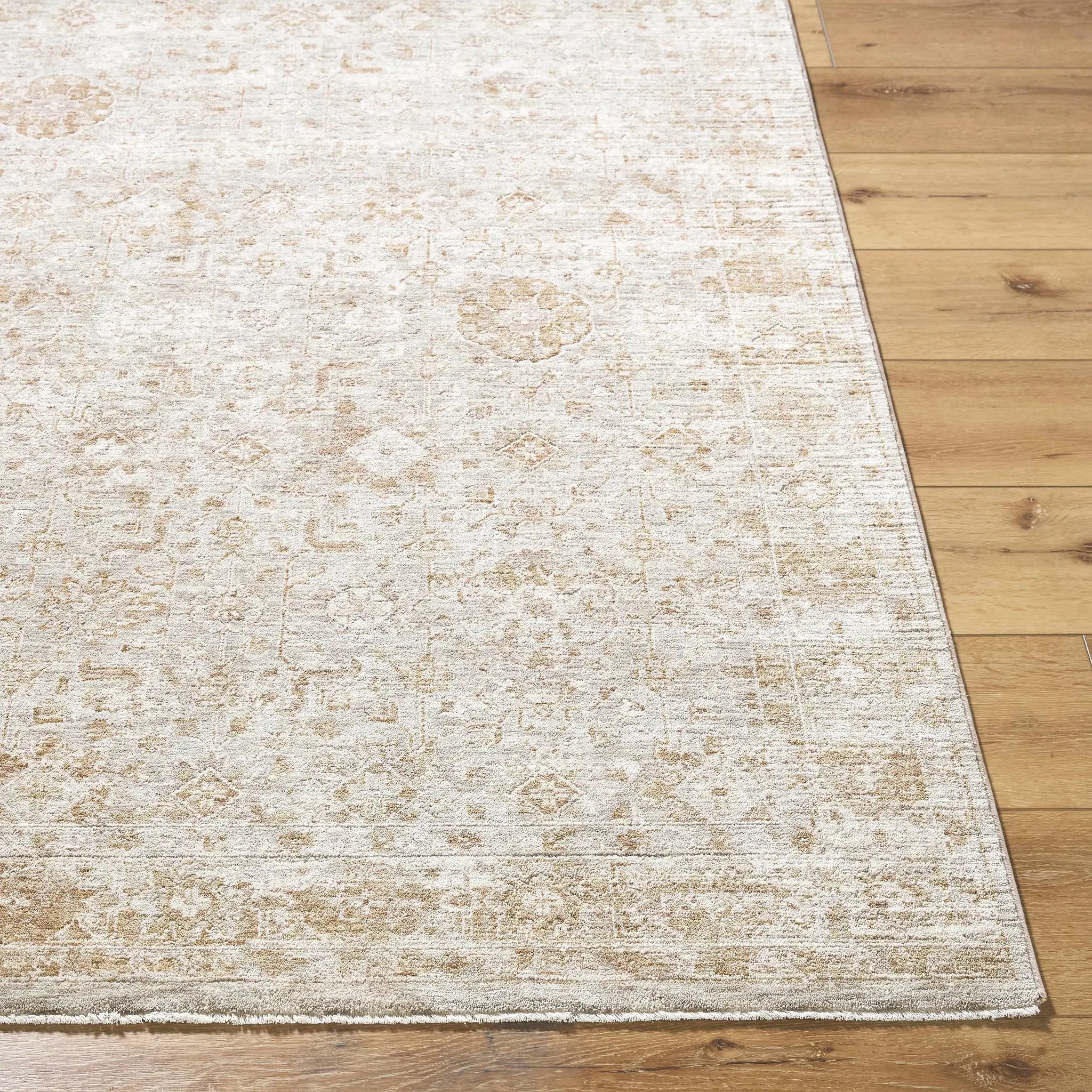 Andres Tan Area Rug by Boutique Rugs