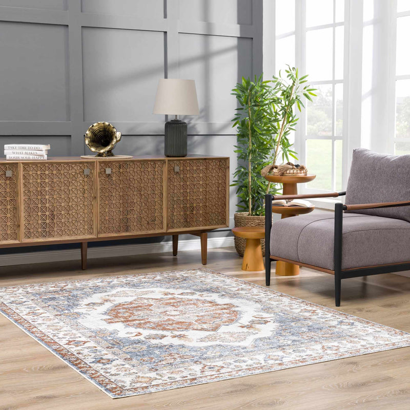 Ebbe Washable Area Rug - Clearance by Boutique Rugs