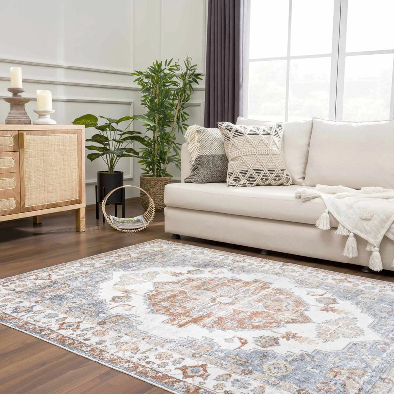 Ebbe Washable Area Rug - Clearance by Boutique Rugs