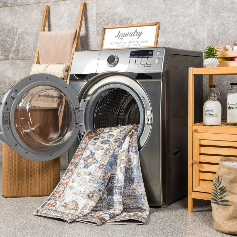Ebbe Washable Area Rug - Clearance by Boutique Rugs