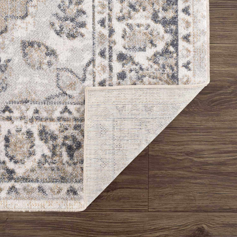 Rudo Beige Washable Area Rug by Hauteloom