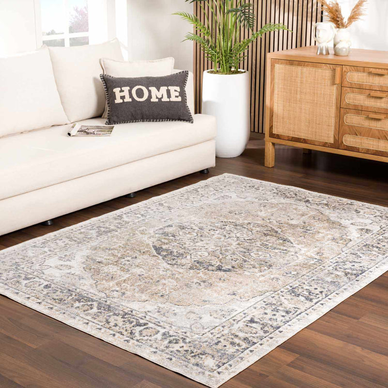 Rudo Beige Washable Area Rug by Hauteloom