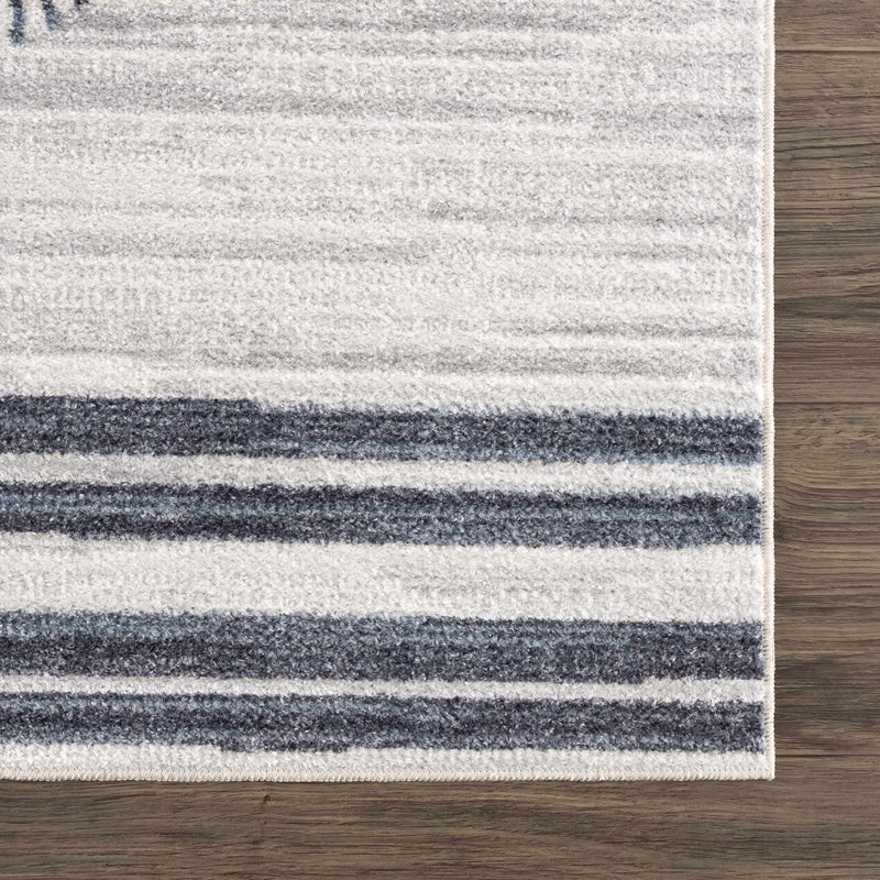 Thad Medium Gray Washable Area Rug by Boutique Rugs