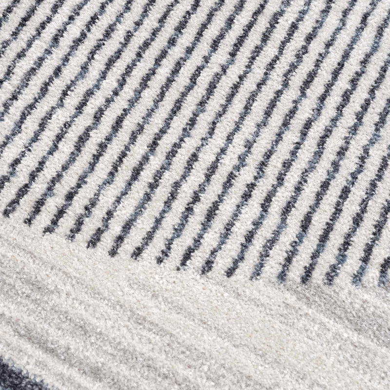 Thad Medium Gray Washable Area Rug by Boutique Rugs