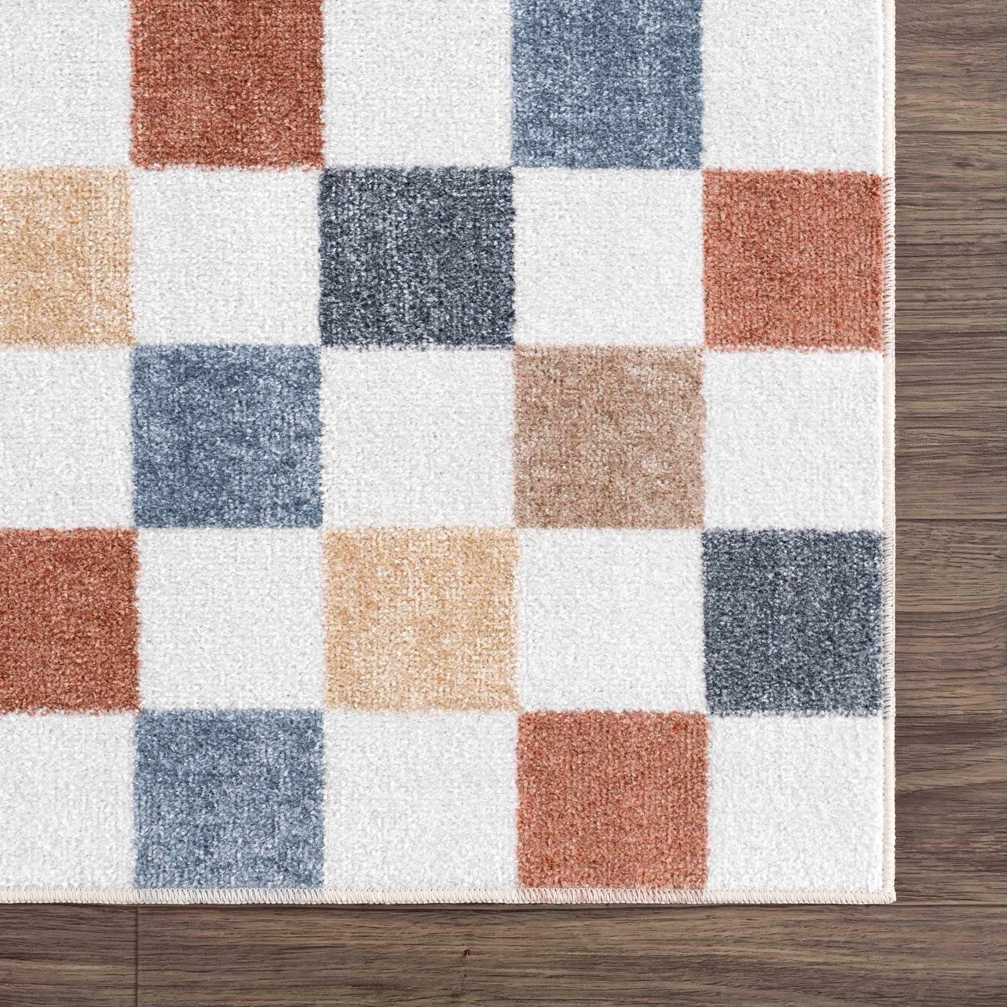 Alie Colorful Checkered Washable Rug by Hauteloom