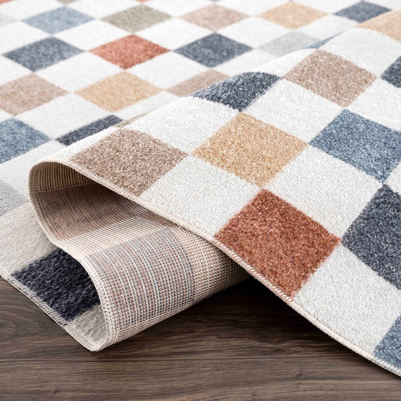 Alie Colorful Checkered Washable Rug by Boutique Rugs