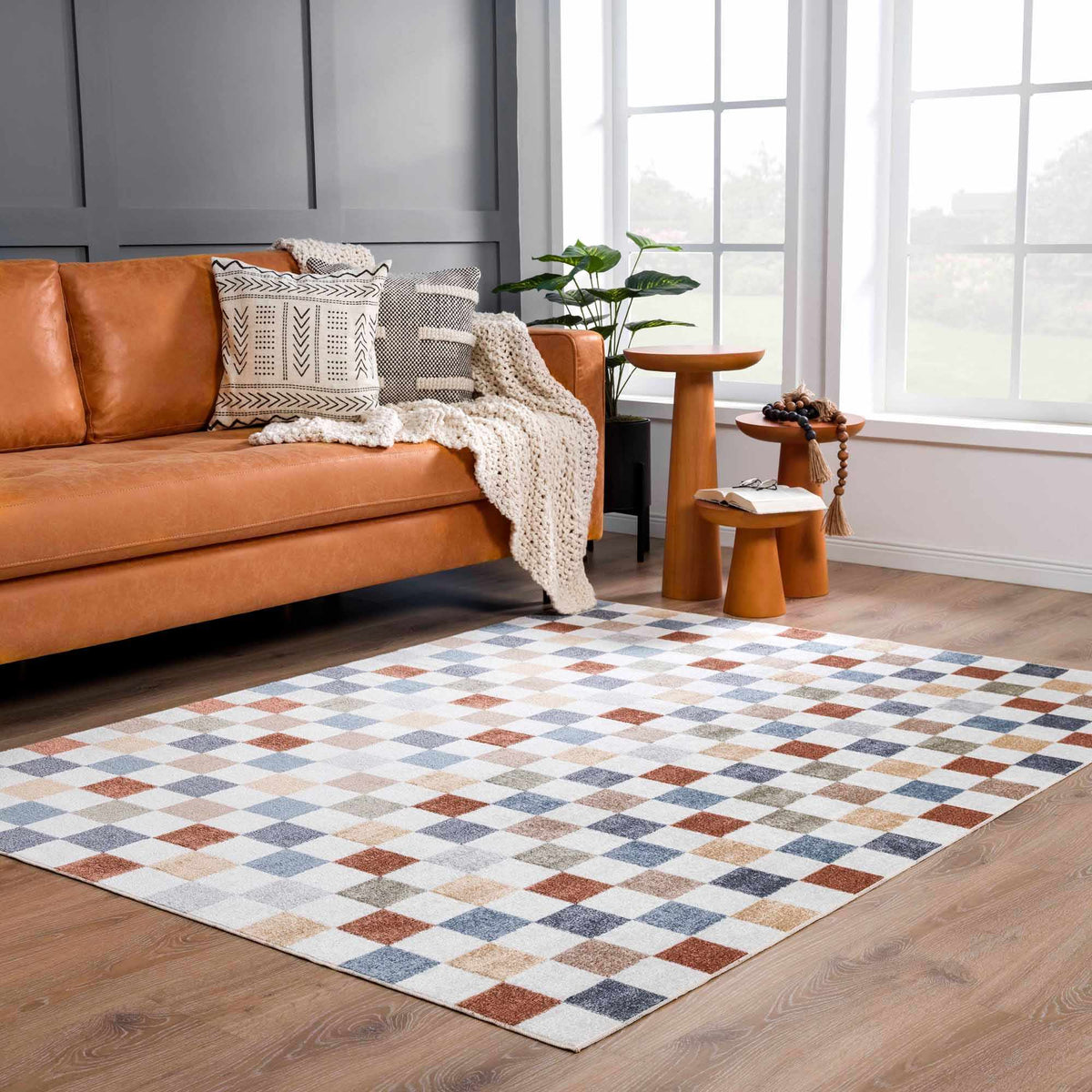 Alie Colorful Checkered Washable Rug by Hauteloom