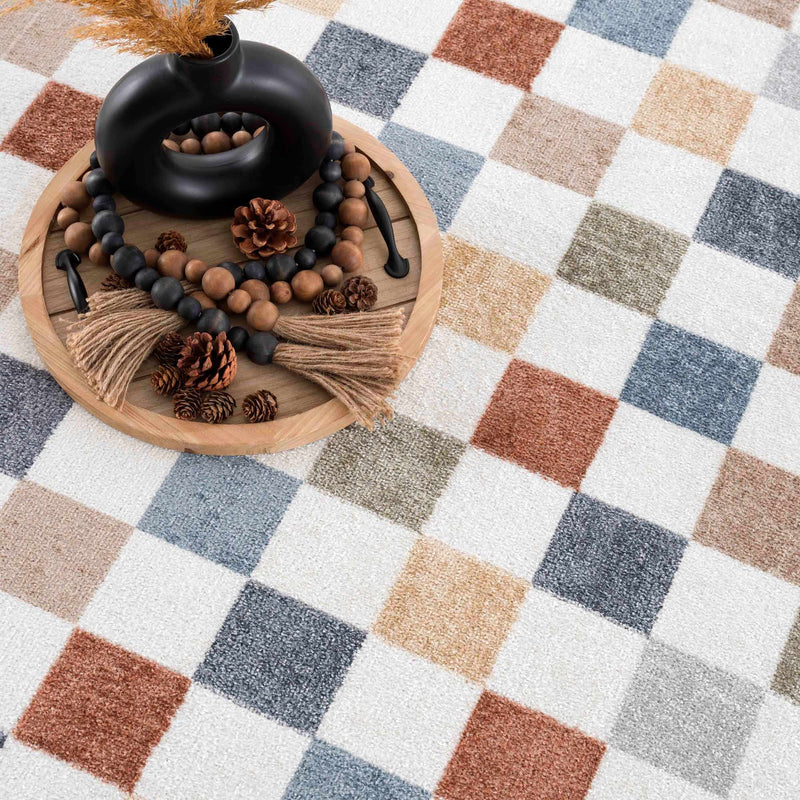 Alie Colorful Checkered Washable Rug by Hauteloom