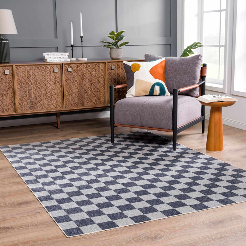 Alie Gray Checkered Washable Area Rug by Hauteloom