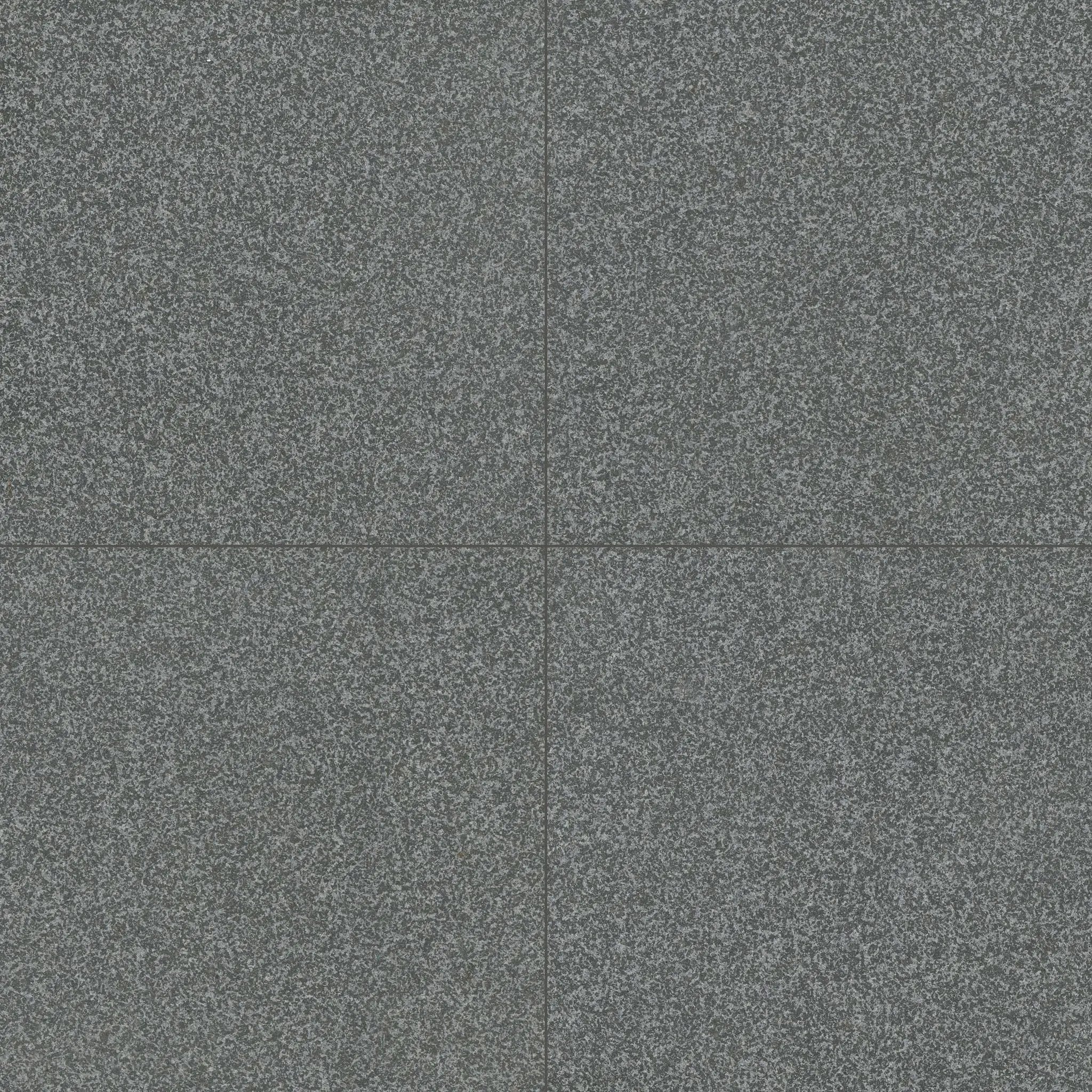 Gray Mist Granite Paver Flamed 24x24 close up
