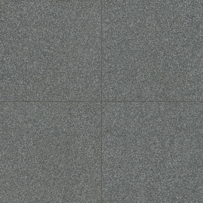 Gray Mist Granite Paver Flamed 24x24 close up
