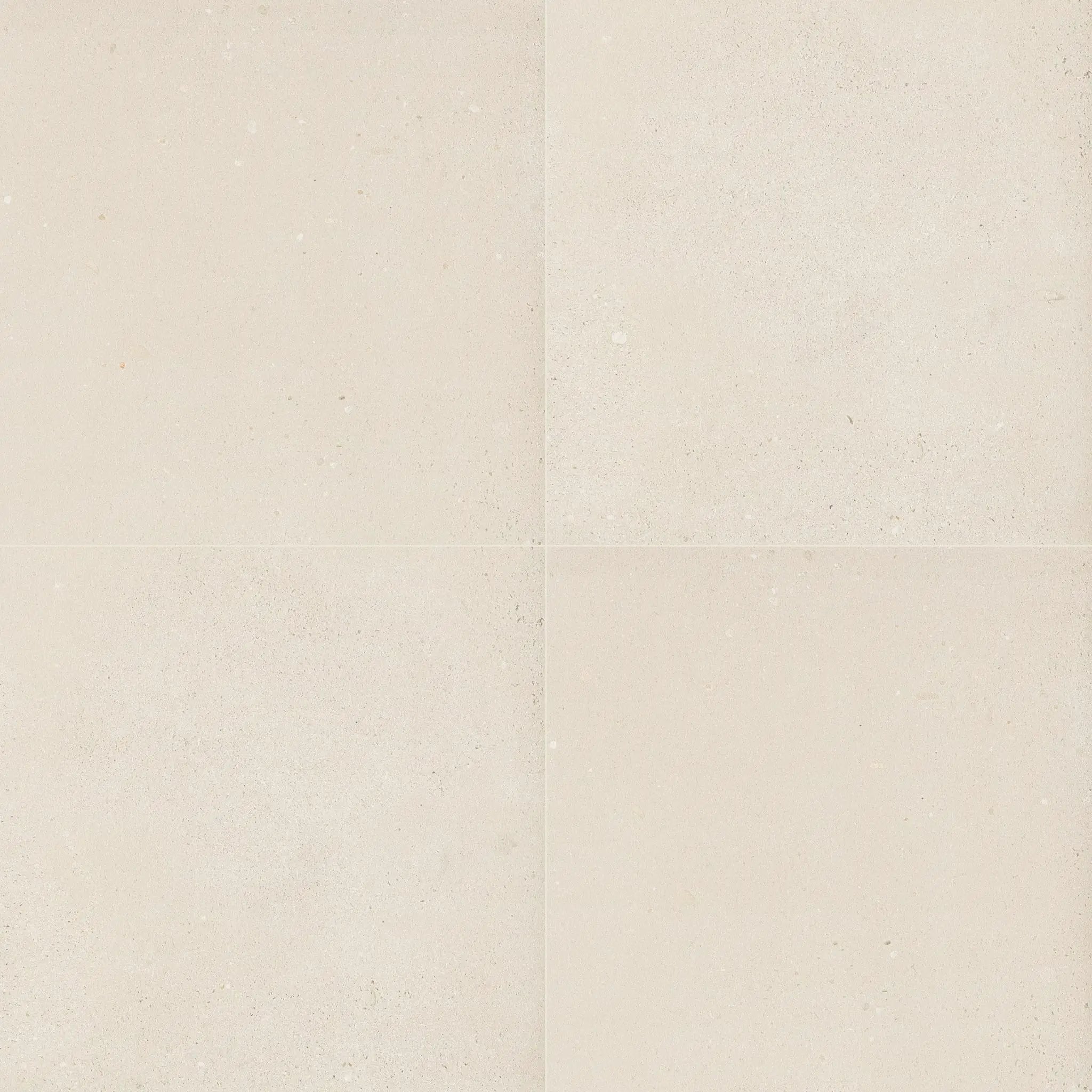 Gritzo Salt Matte Porcelain Pavers 24x24 close up