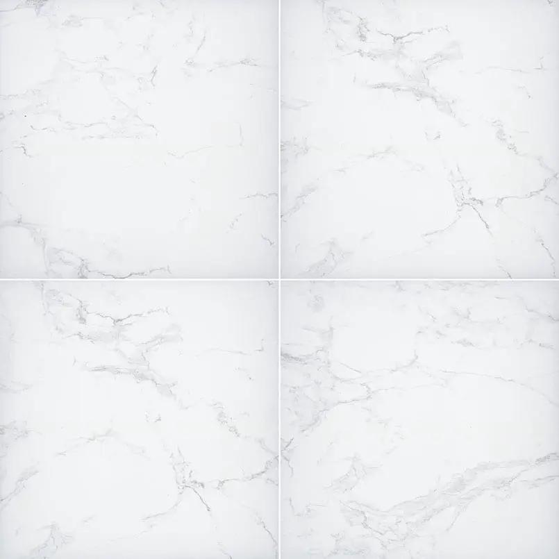Praia Carrara Matte Porcelain Pavers 24x24 close up