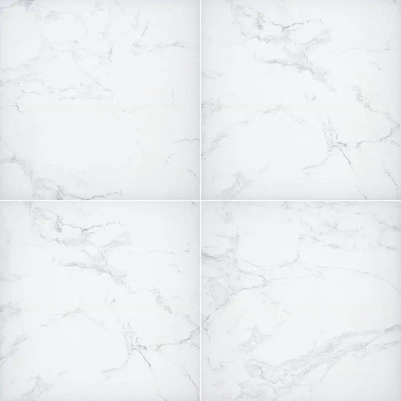 Praia Carrara Matte Porcelain Pavers 24x24 close up