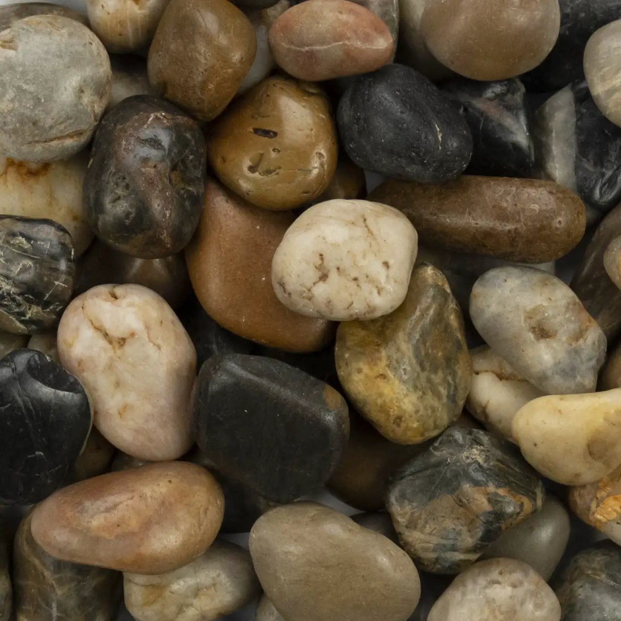 Mixed Polished Pebbles Marble Pavers 4.50 inch close up