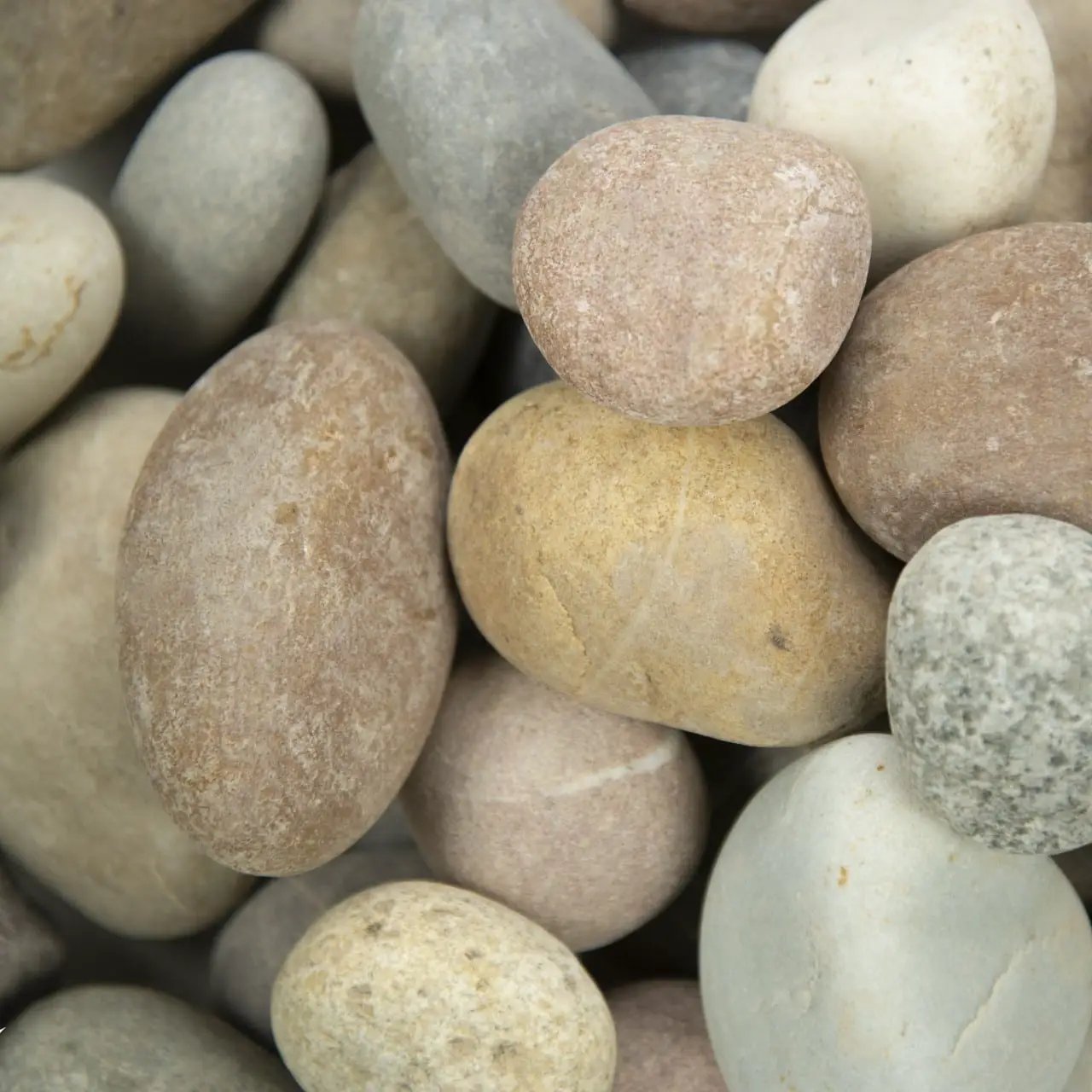 Amazon Multi Pebbles Natural Quartzite Pavers 5.40 inch close up
