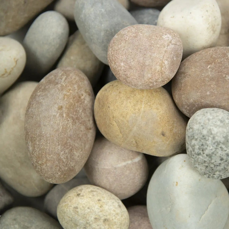 Amazon Multi Pebbles Natural Quartzite Pavers 5.40 inch close up