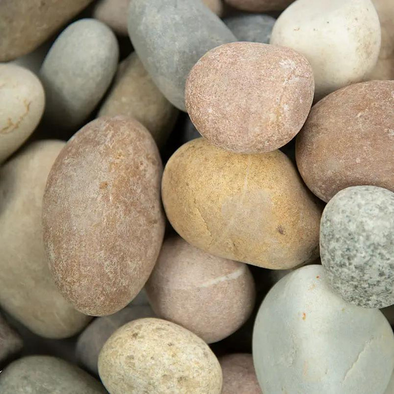 Amazon Multi Pebbles Natural Quartzite Pavers 5.40 inch close up