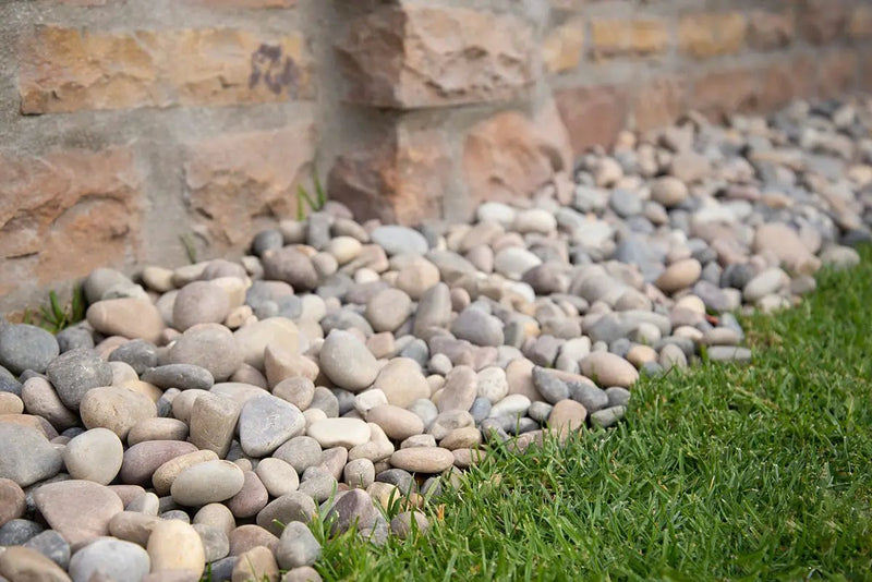 Amazon Multi Pebbles Natural Quartzite Pavers 4.50 inch in a finished room