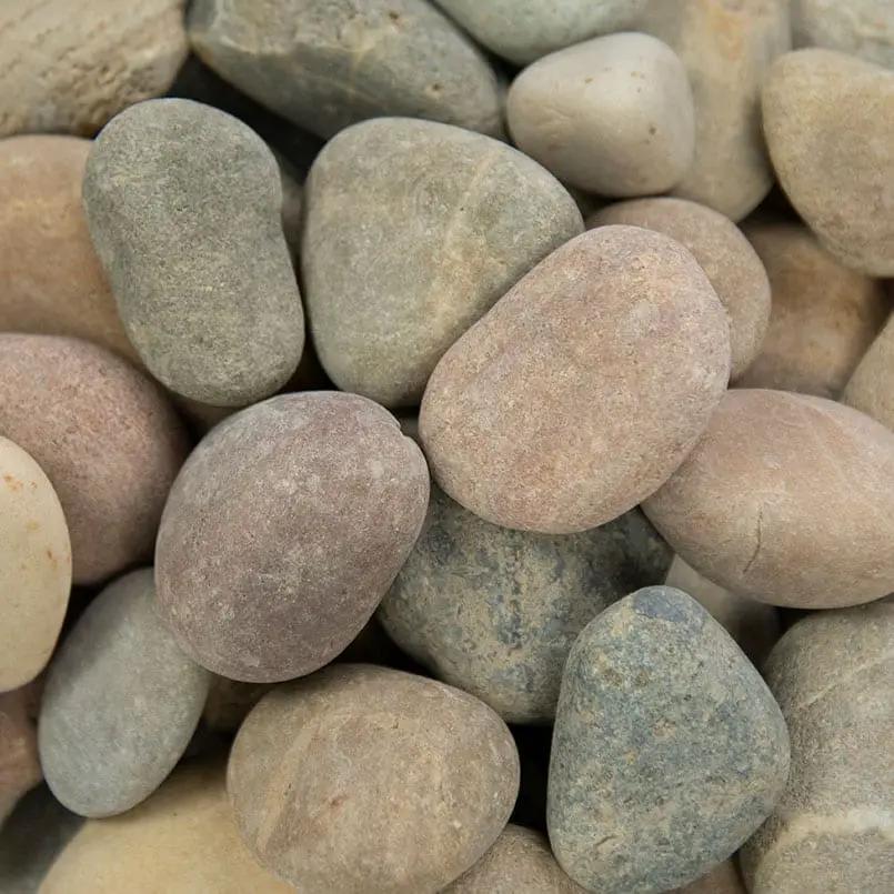 Amazon Multi Pebbles Natural Quartzite Pavers 4.50 inch close up