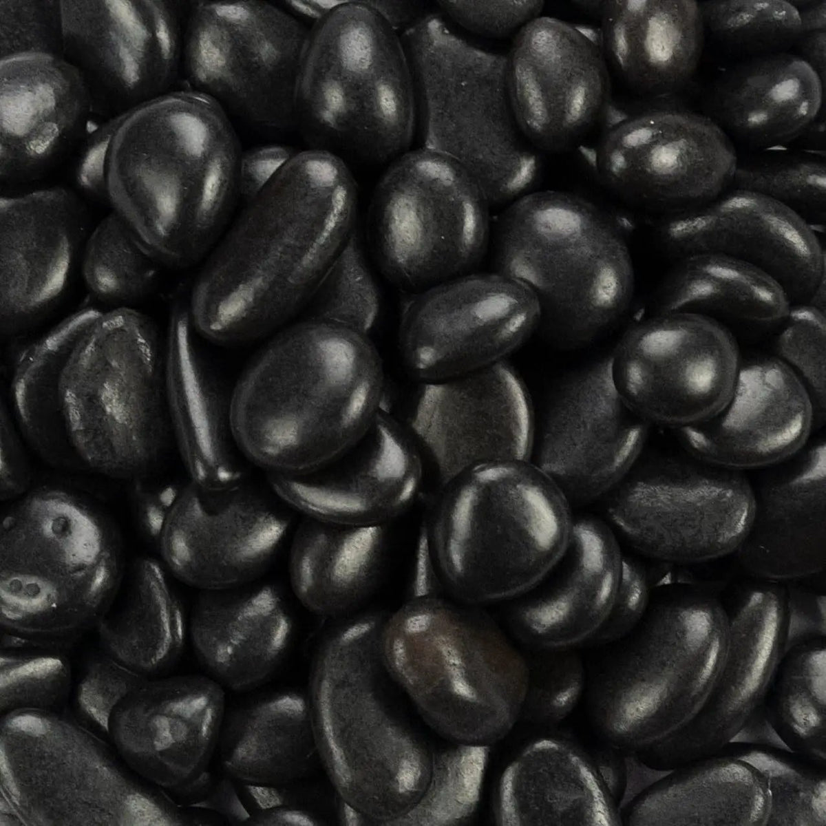 Black Polished Pebbles Quartzite Pavers 0.20 inch by MSI Surfaces