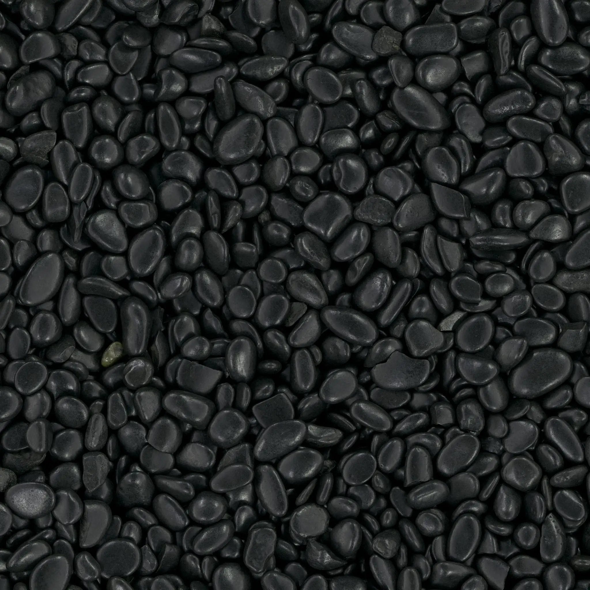 Black Polished Pebbles Quartzite Pavers 5.40 inch close up