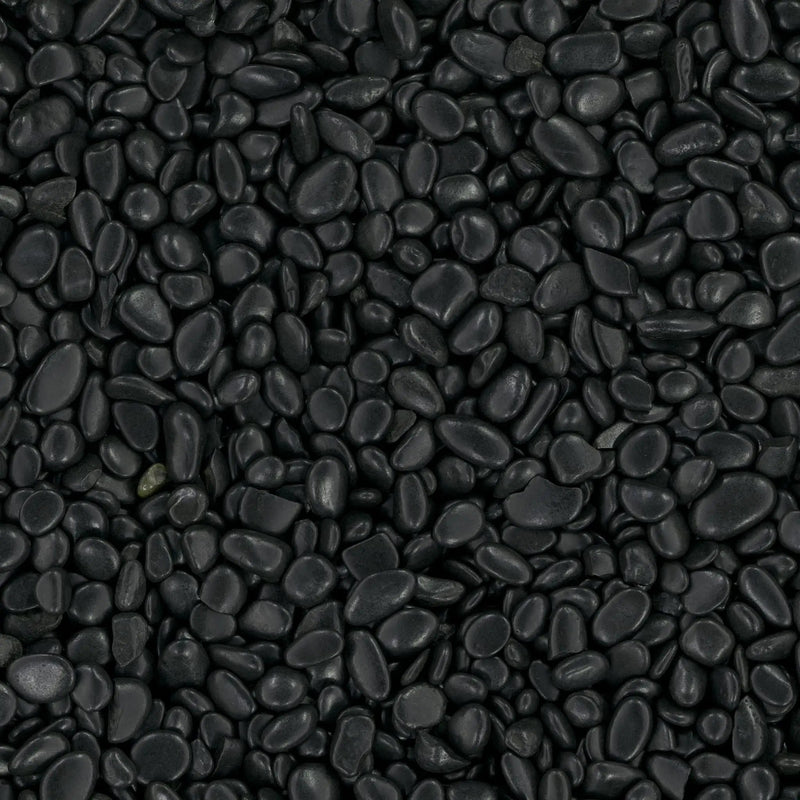 Black Polished Pebbles Quartzite Pavers 5.40 inch close up