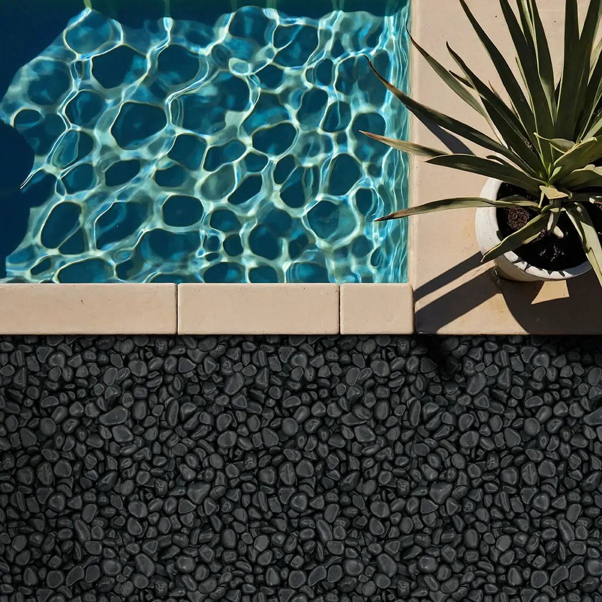 Black Polished Pebbles Quartzite Pavers 4.50 inch in a finished room
