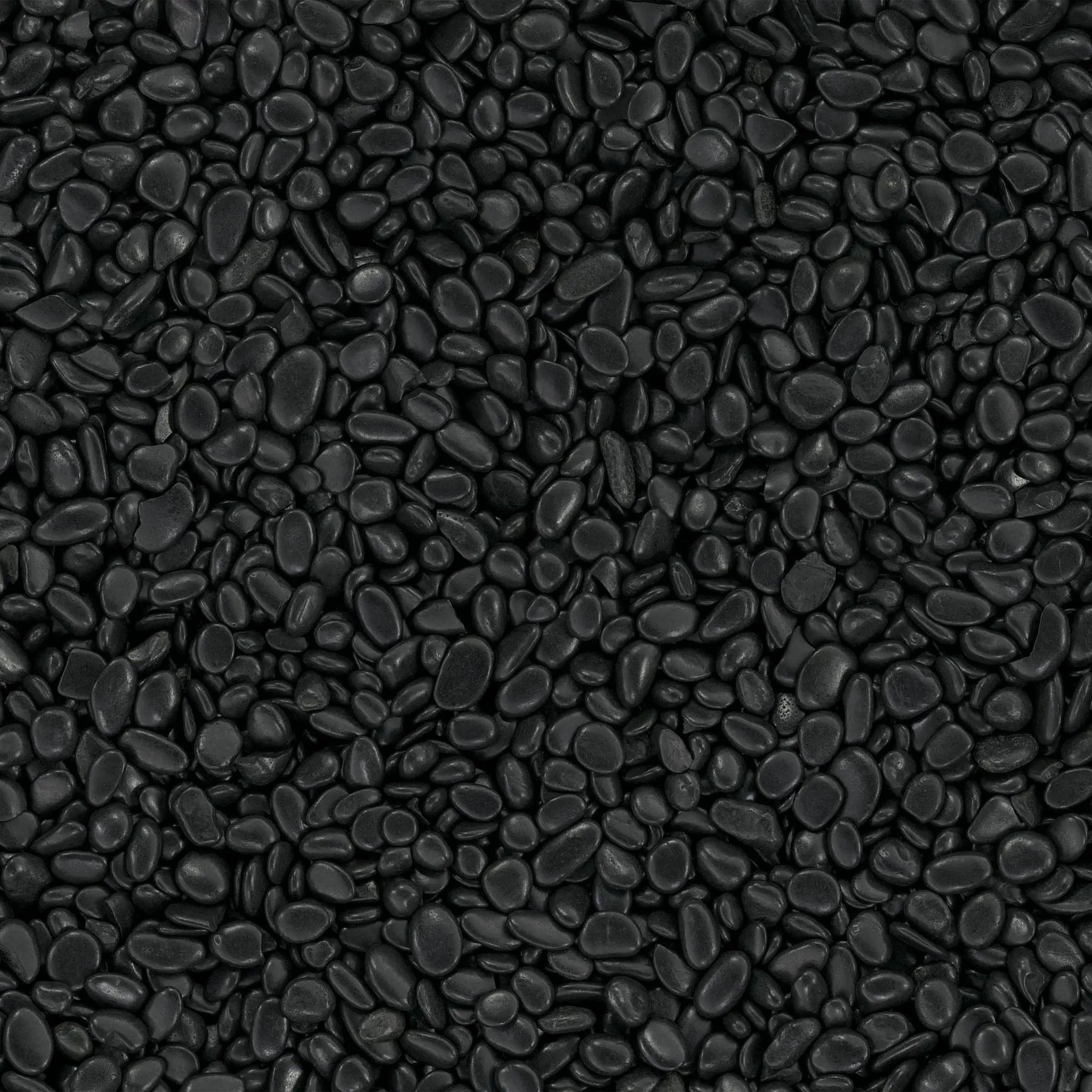 Black Polished Pebbles Quartzite Pavers 4.50 inch angled view