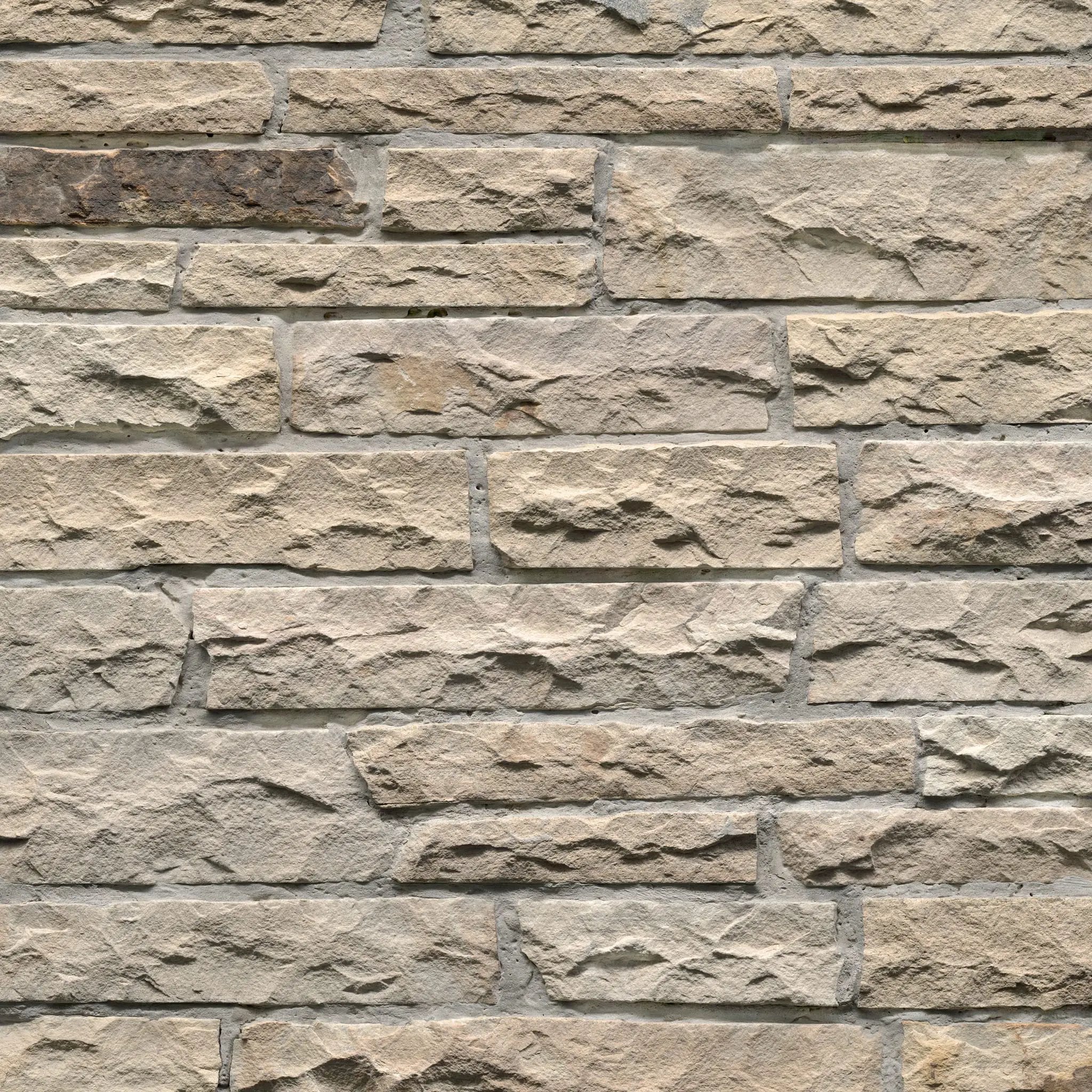 Fossil Rustic Ledgestone Natural Sandstone Pavers close up