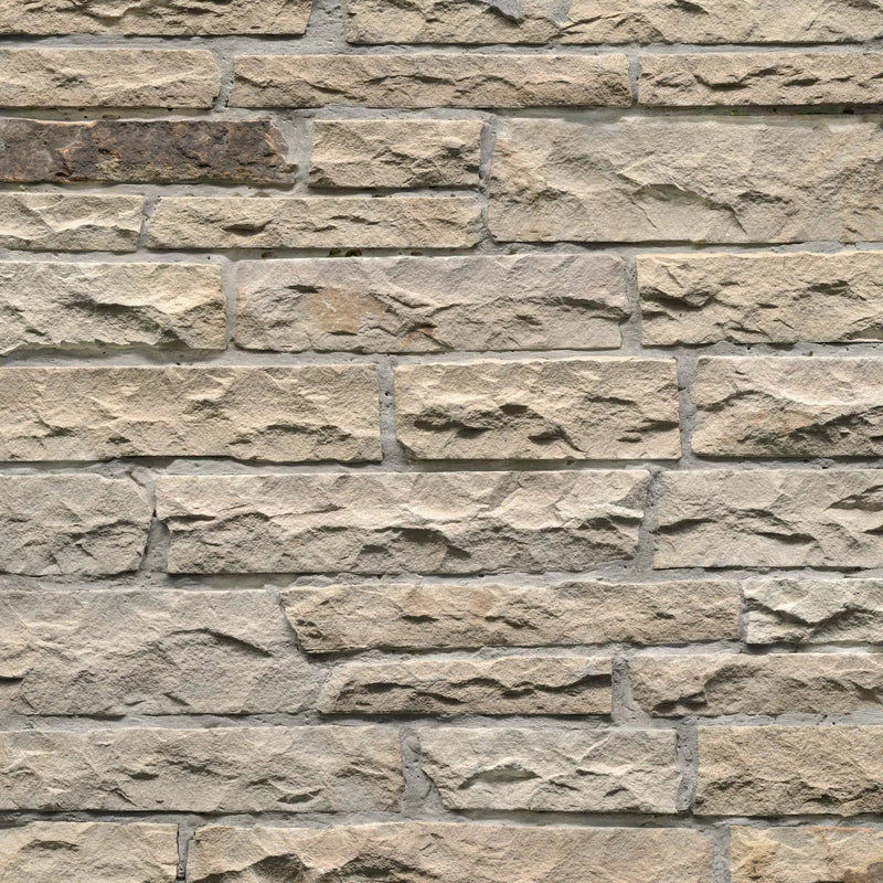 Fossil Rustic Ledgestone Natural Sandstone Pavers close up