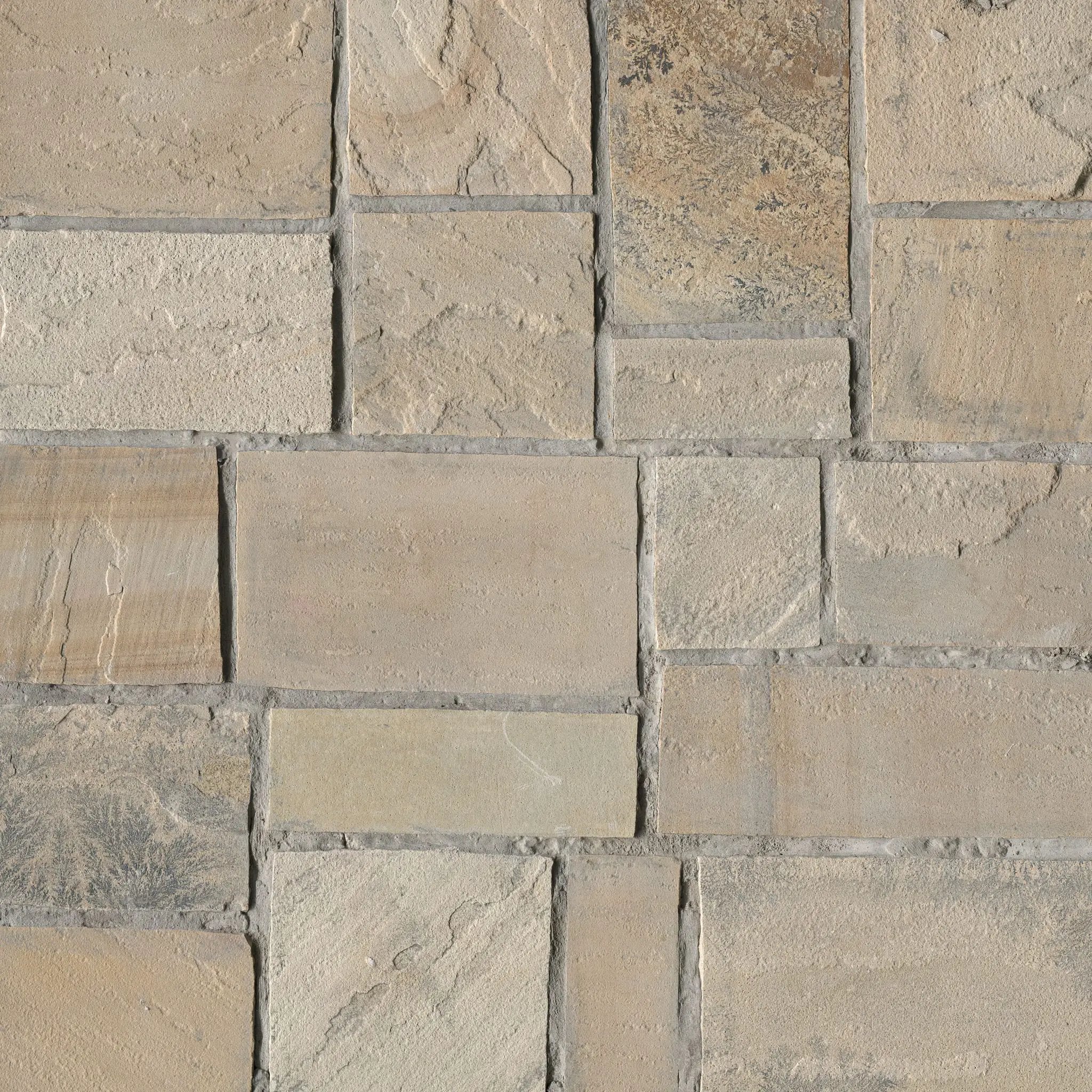 Fossil Rustic Squares Rectangles Natural Sandstone Pavers by MSI Surfaces