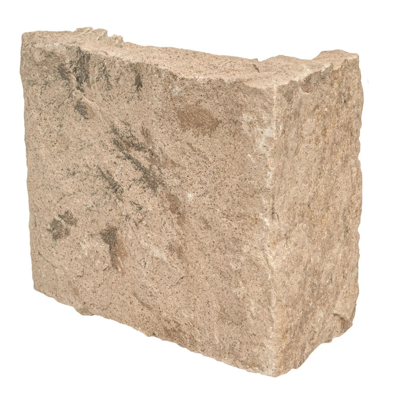 Fossil Rustic Squares Rectangles Natural Sandstone Pavers COR close up
