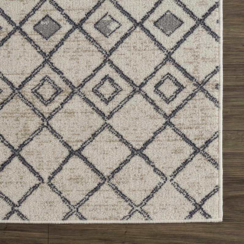 Midstream Washable Area Rug - Clearance by Boutique Rugs