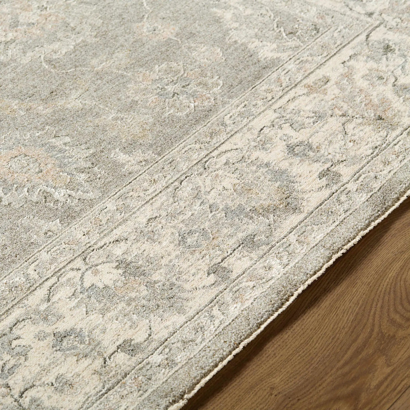 Alinae Area Rug by Boutique Rugs