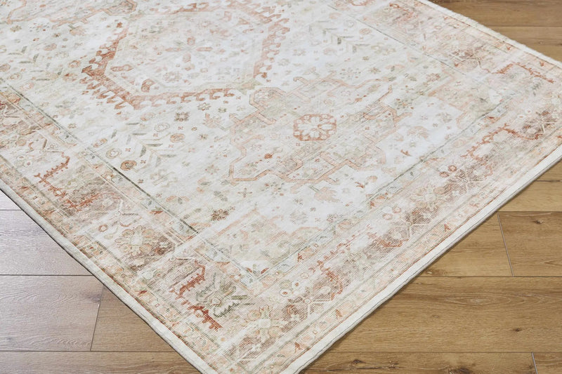 Laran Rust Distressed Washable Area Rug - Clearance by Boutique Rugs
