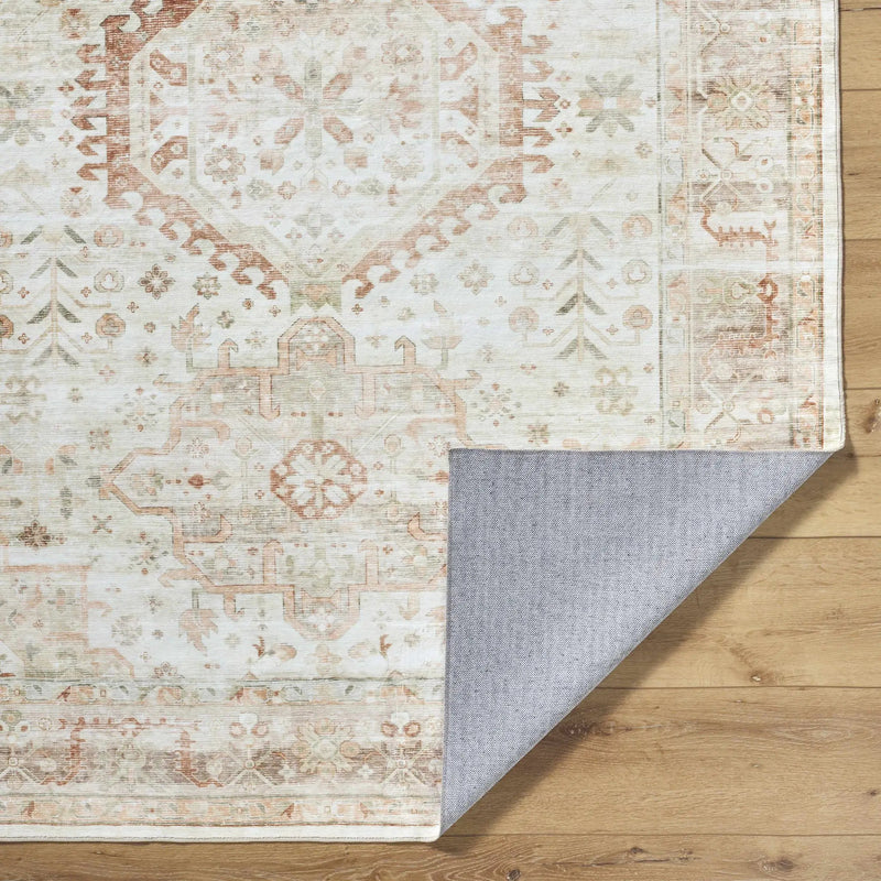Laran Rust Distressed Washable Area Rug - Clearance by Boutique Rugs