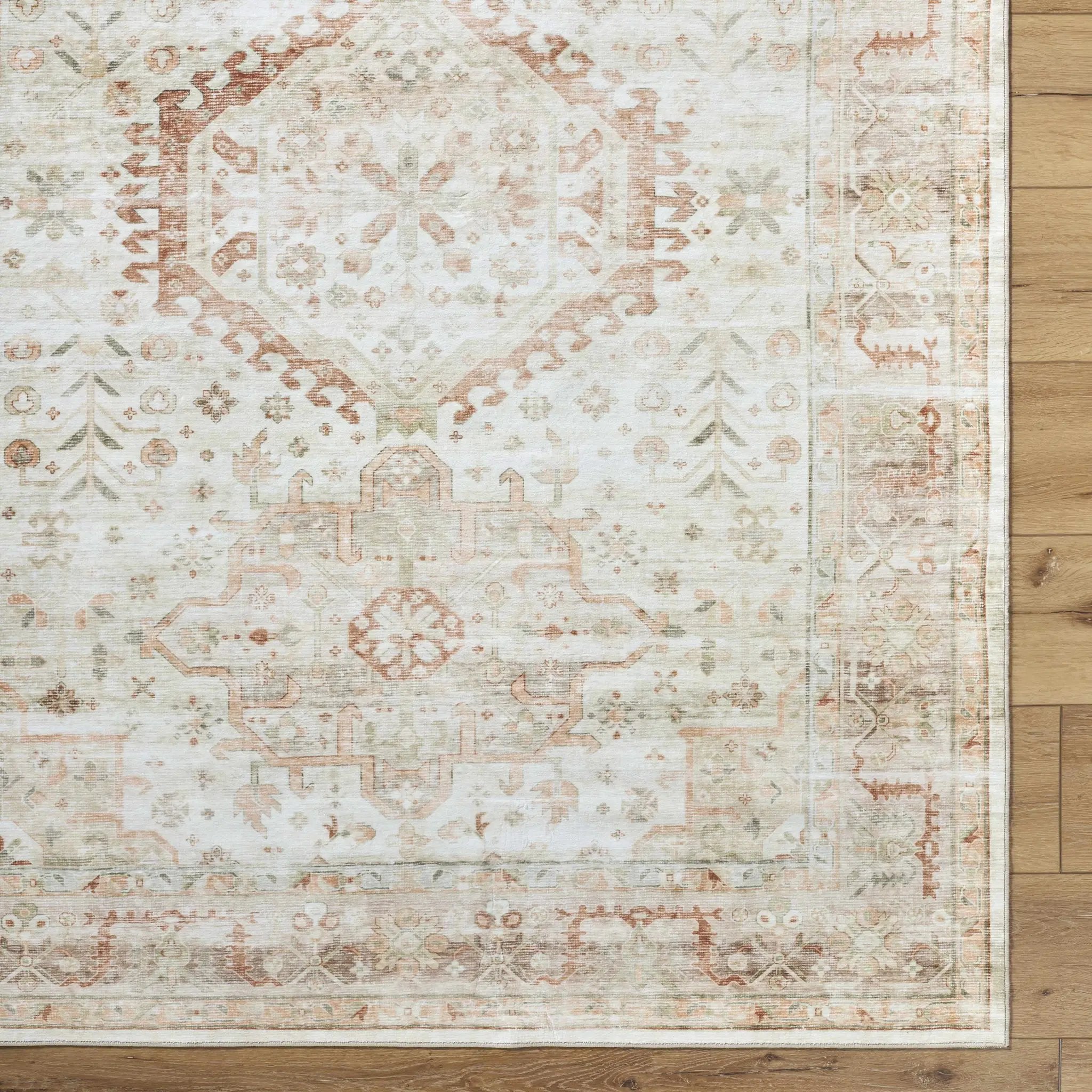 Laran Rust Distressed Washable Area Rug - Clearance by Boutique Rugs
