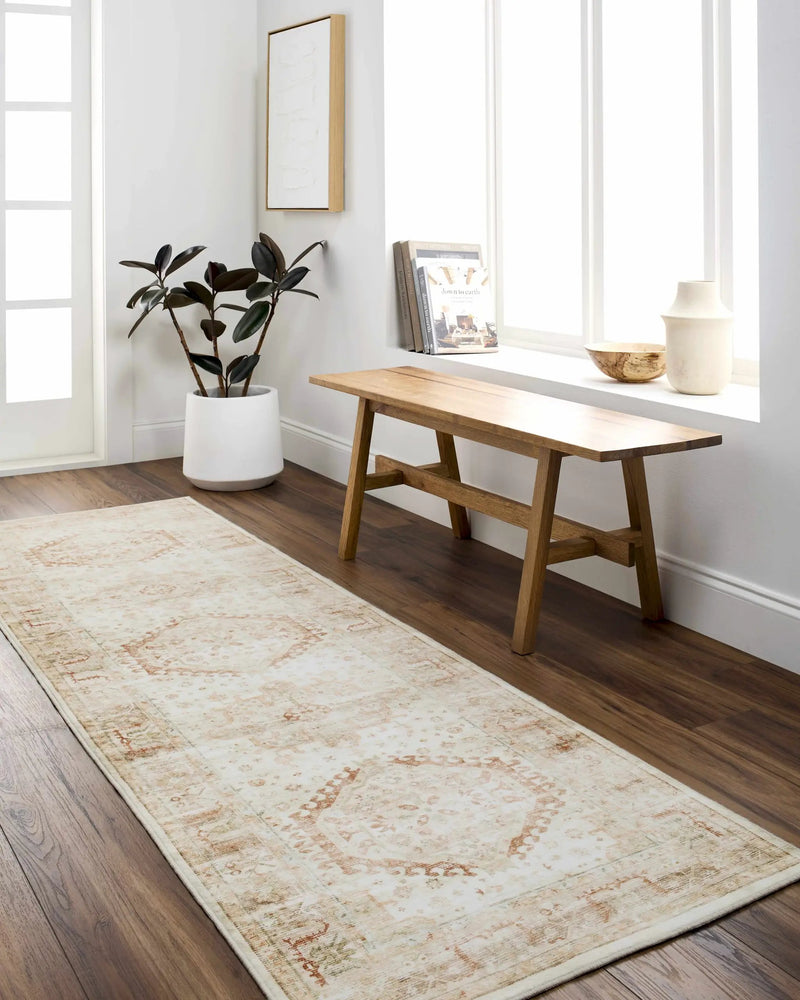 Laran Rust Distressed Washable Area Rug - Clearance by Boutique Rugs