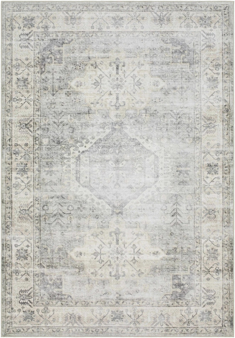 Laran Sage Distressed Washable Area Rug - Clearance by Boutique Rugs
